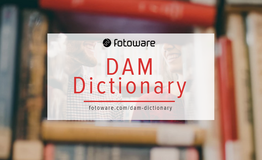 DAM Dictionary